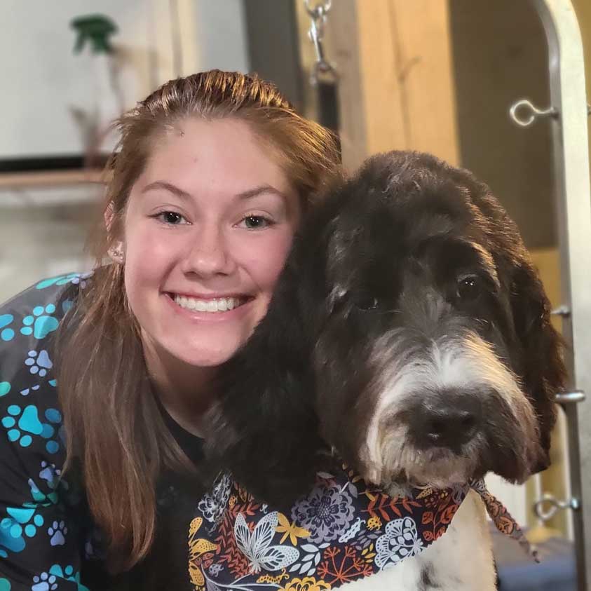 Brittany - Greenbrier Grooming & Pet Resort in Dornsife